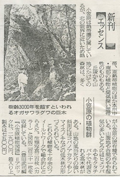 1981年10月19日&nbsp;朝日新聞
