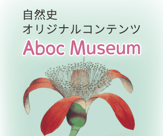 自然史オリジナルコンテンツ　Aboc Museum